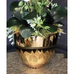 Kompozycja PREMIUM STORCZYKI BIAŁE 10-pędów w złotej osłonce MAXI